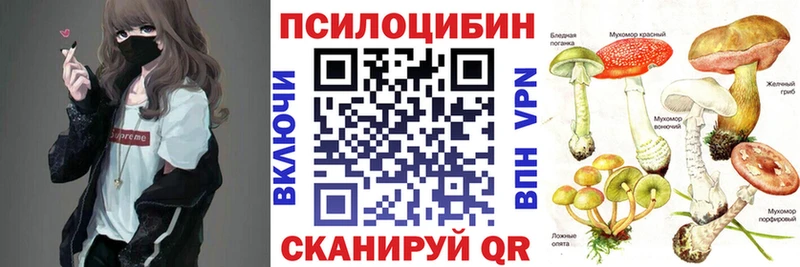 Псилоцибиновые грибы Psilocybe  Покровск 